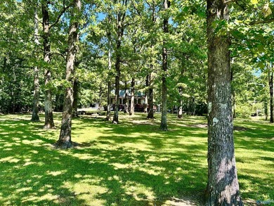 Nestled on the scenic shores of Weiss Lake in the sought-after - photo 38