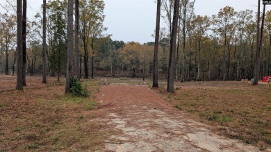 Lake Lot For Sale in Ridgeway, South Carolina