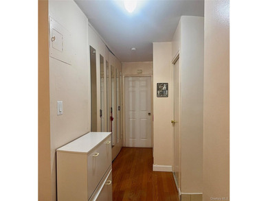 Stunning Renovated 2 Bedroom / Junior 4 Co-op with Lake Views - photo 7