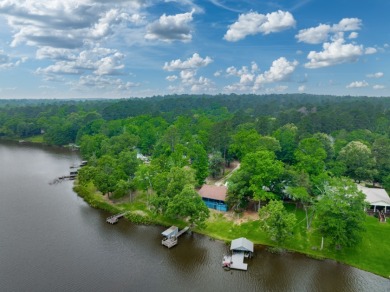 Lakefront Cottage on Lake Ioni, East Texas - photo 33