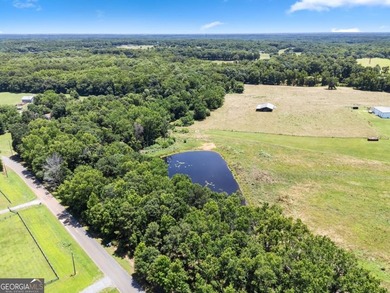 This prime 6-acre, level lot offers a picturesque setting - photo 1