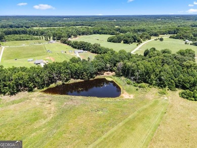 This prime 6-acre, level lot offers a picturesque setting - photo 2