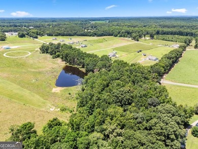 This prime 6-acre, level lot offers a picturesque setting - photo 3