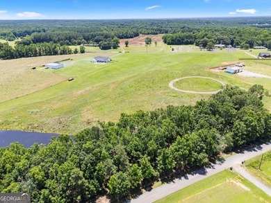 This prime 6-acre, level lot offers a picturesque setting - photo 5