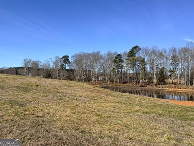 This prime 6-acre, level lot offers a picturesque setting - photo 6