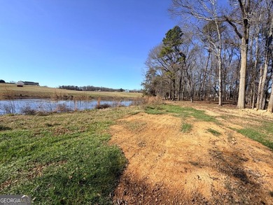 This prime 6-acre, level lot offers a picturesque setting - photo 7