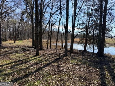 This prime 6-acre, level lot offers a picturesque setting - photo 8