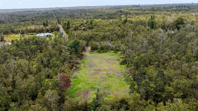 Build Your Vision: 20,000 Sq. Ft. Flag Lot Opportunity awaits on - photo 11