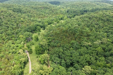 What a great piece of property here in Morgan county! This is 45 - photo 4