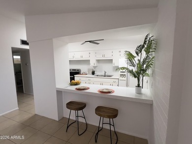 WELCOME TO EASY, LOW MAINTENCE LIVING IN THE HEART OF SUN CITY'S - photo 1