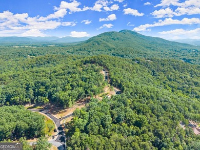 Beautiful home site, partially wooded. Very gentle slope. One of - photo 1