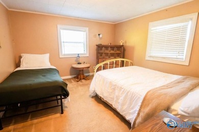 Leesburg, unique waterfront cabin with stunning views very near - photo 6