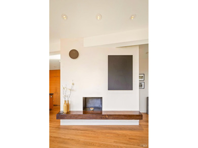Set within Stinson Beach Highlands, 215 Belvedere is nestled - photo 24