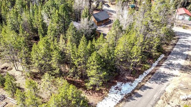 Upgraded and Updated cabin on 2 lots less than a 1/4 mile away - photo 24