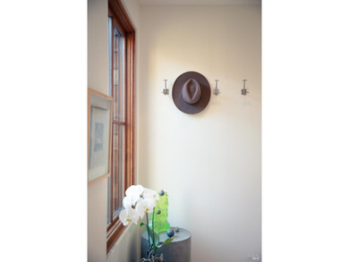 Set within Stinson Beach Highlands, 215 Belvedere is nestled - photo 36
