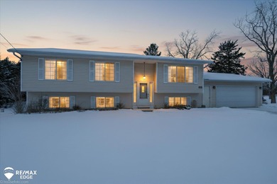 Shinanguag Lake Home Active Under Contract in Goodrich Michigan