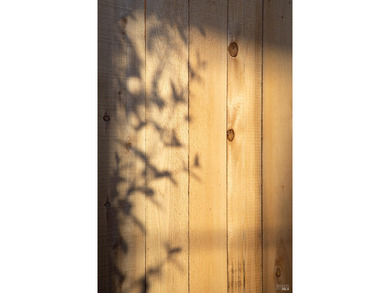 Set within Stinson Beach Highlands, 215 Belvedere is nestled - photo 46