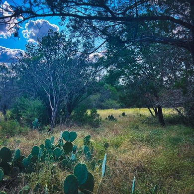 Canyon Lake Lot For Sale in Spring Branch Texas