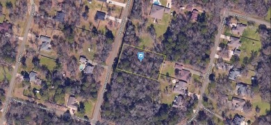 Lake Conroe Lot For Sale in Willis Texas