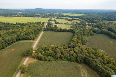 Lay Lake Acreage Sale Pending in Columbiana Alabama