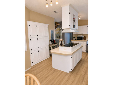 Welcome to Lake Griffin Isles, a sought-after waterfront 55+ - photo 4