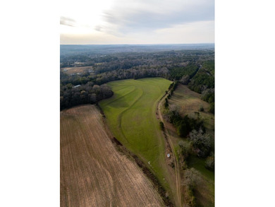 Exceptional 113 acre investment opportunity near Lake Eufaula - photo 20