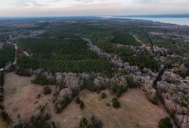 Exceptional 113 acre investment opportunity near Lake Eufaula - photo 25