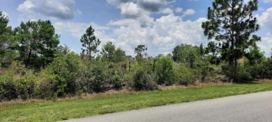 Lake Lot Sale Pending in Indian Lake Estates, Florida