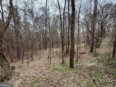 Georgia Premier RE Advisors is pleased to present a 5 acre lot - photo 2