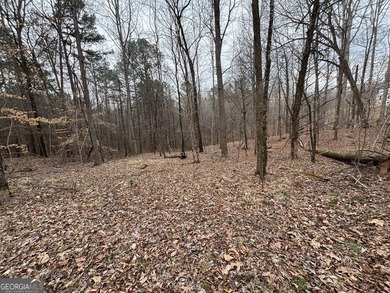 Georgia Premier RE Advisors is pleased to present a 5 acre lot - photo 3