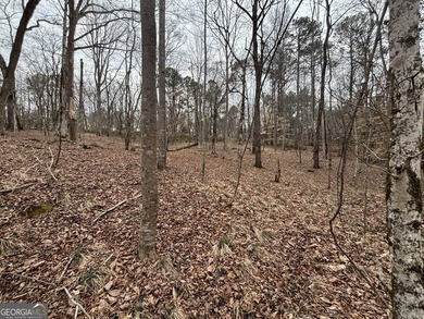 Georgia Premier RE Advisors is pleased to present a 5 acre lot - photo 4
