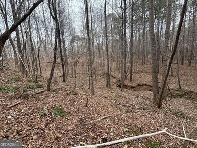 Georgia Premier RE Advisors is pleased to present a 5 acre lot - photo 5