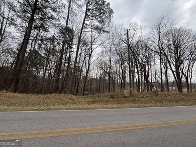 Georgia Premier RE Advisors is pleased to present a 5 acre lot - photo 6