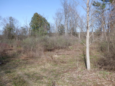 New Listing near Benson Landing Lake Champlain - photo 5