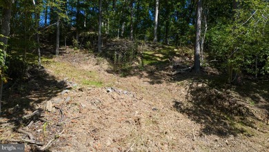 Waterfront lot with dock in Blue Ridge Shores: Nestled within - photo 12