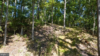 Waterfront lot with dock in Blue Ridge Shores: Nestled within - photo 13