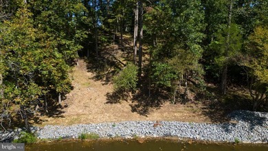 Waterfront lot with dock in Blue Ridge Shores: Nestled within - photo 14
