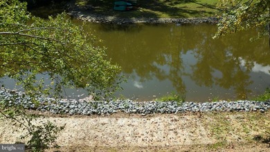 Waterfront lot with dock in Blue Ridge Shores: Nestled within - photo 17