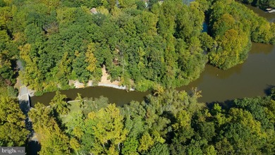 Waterfront lot with dock in Blue Ridge Shores: Nestled within - photo 19