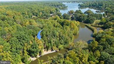 Waterfront lot with dock in Blue Ridge Shores: Nestled within - photo 30