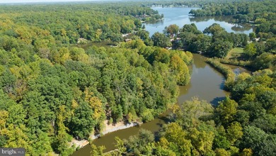 Waterfront lot with dock in Blue Ridge Shores: Nestled within - photo 31