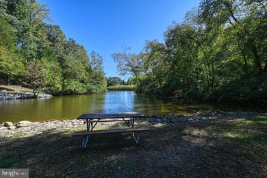 Waterfront lot with dock in Blue Ridge Shores: Nestled within - photo 34