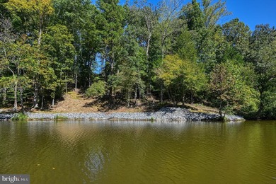 Waterfront lot with dock in Blue Ridge Shores: Nestled within - photo 35