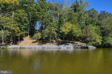 Waterfront lot with dock in Blue Ridge Shores: Nestled within - photo 36