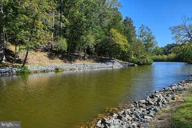Waterfront lot with dock in Blue Ridge Shores: Nestled within - photo 37