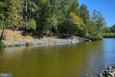 Waterfront lot with dock in Blue Ridge Shores: Nestled within - photo 39