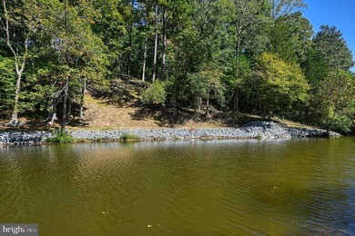Waterfront lot with dock in Blue Ridge Shores: Nestled within - photo 41