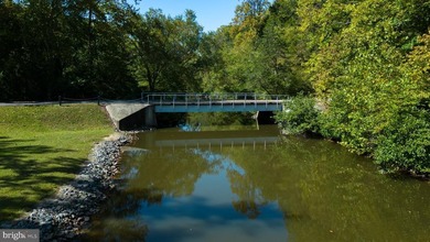 Waterfront lot with dock in Blue Ridge Shores: Nestled within - photo 44