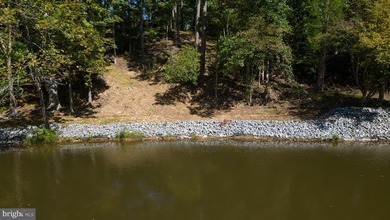 Waterfront lot with dock in Blue Ridge Shores: Nestled within - photo 45