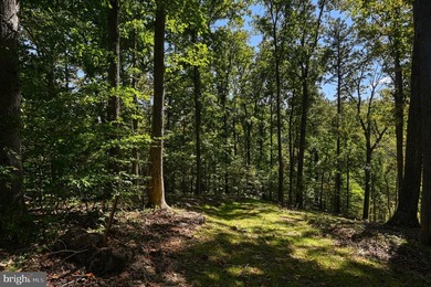 Waterfront lot with dock in Blue Ridge Shores: Nestled within - photo 46